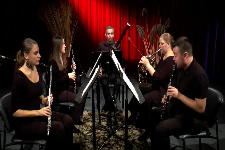 Baby Blue Arts Presents - Pavia Wind Quintet