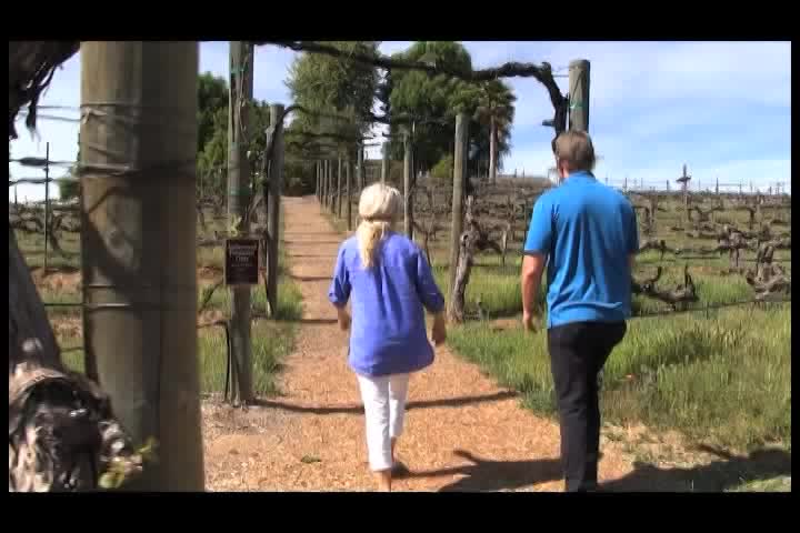 Cooking and Kids with Vlada Vladic - Green Power Salad