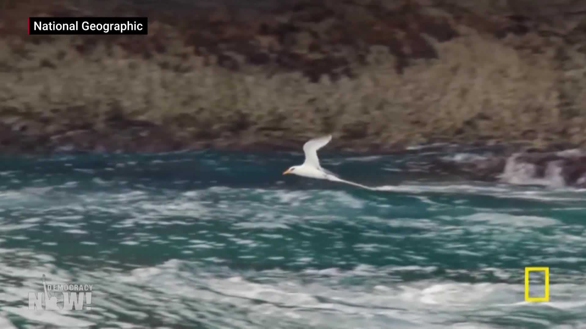 Thumbnail image for Democracy Now! - 7.5.24