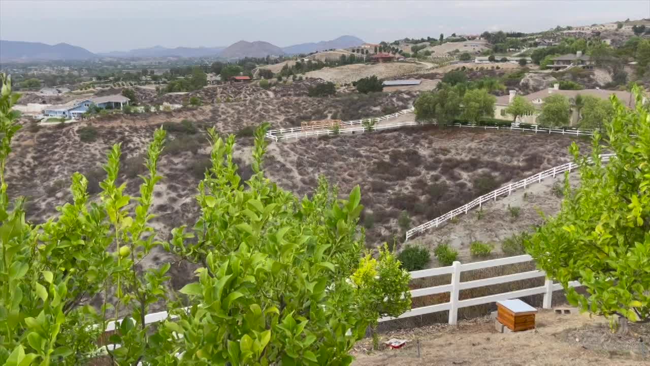 Thumbnail image for Cooking and Kids with Vlada Vladic - Beekeeping Adventures