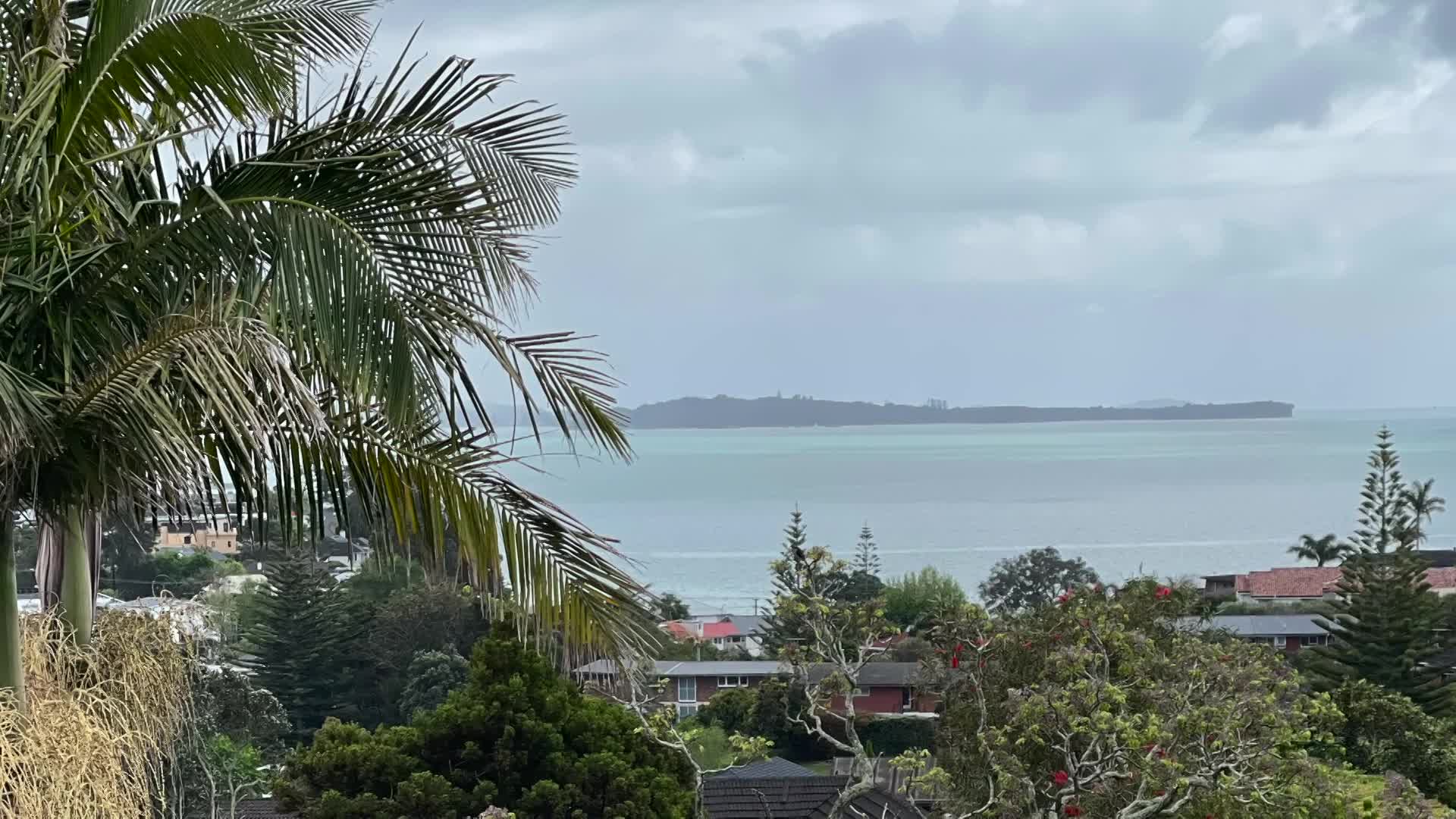 Thumbnail image for Cooking and Kids with Vlada Vladic - Auckland Parks and Asian Soup