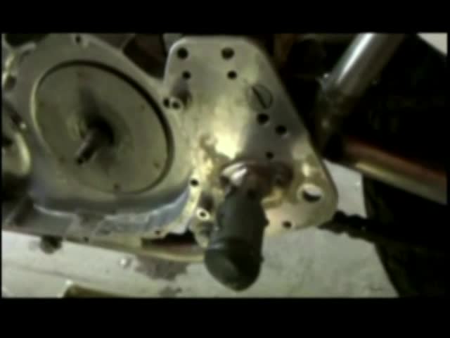 Thumbnail image for Team Chicago - 8.4.2024