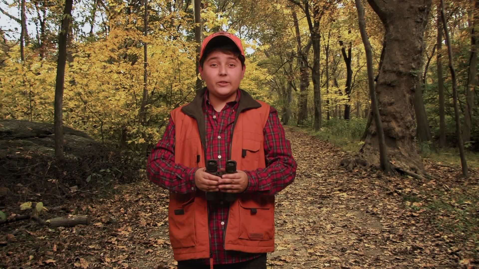 Into The Outdoors - Careers In Conservation