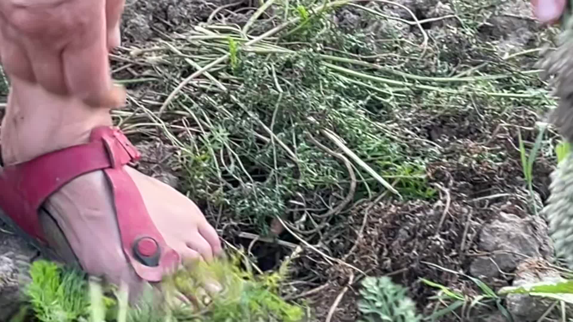 Thumbnail image for Cooking and Kids with Vlada Vladic - How To Make Homemade Sausages