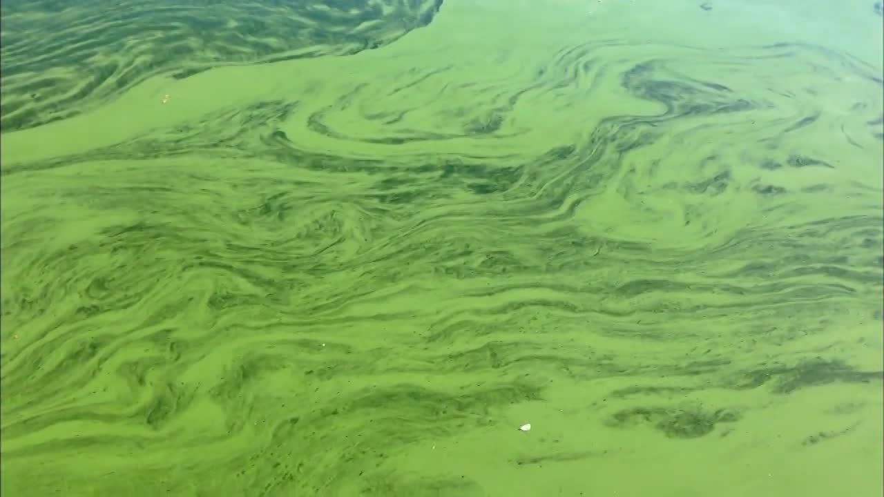 Into The Outdoors - Cost of Clean Water