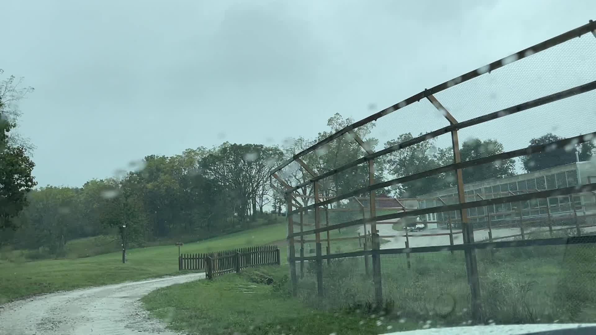 Cooking and Kids with Vlada Vladic - Rare Seeds and Sweet Beet Salad