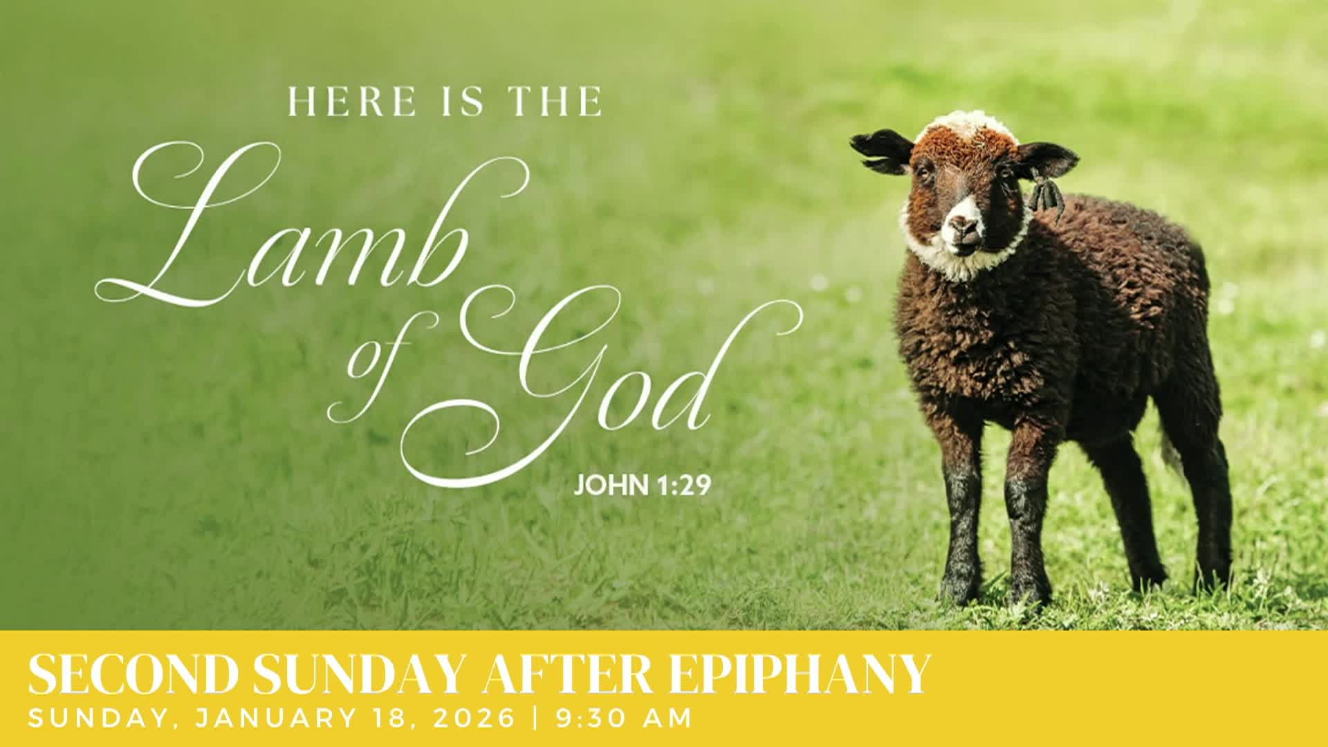 Our Savior's Lutheran Church - 1.18.26